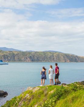 A group of people on the Eastern Walkway, looking at Wellington’s South Coast as the Interislander ferry sails by.