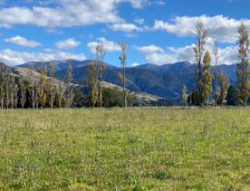 Farmland in Masterton.