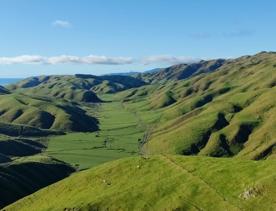 A short drive from the city is a stunning venue. Perched on a rugged coastline, it has sweeping views over the Cook Strait and the South Island.