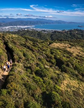 A drone shot of four hikers on Belmont Trig Track surrounded by native bush with a view of Wellington city and harbour in the distance.