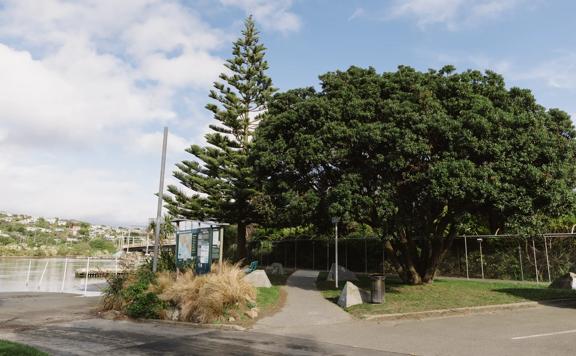 The entrance of Ara Harakeke Path from the car park.