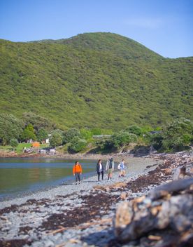 The Beach Landing to Sheltertrack on Kapiti Island. The boat from Kāpiti Coast arrives onto the rocky shore.
