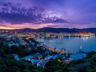 looking out over Wellington CBD from Mount Victoria during sunset.