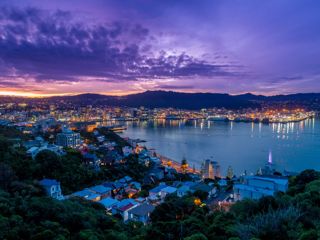 looking out over Wellington CBD from Mount Victoria during sunset.