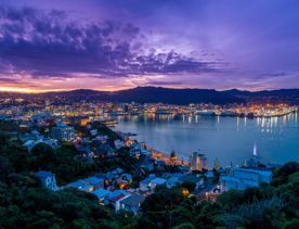 looking out over Wellington CBD from Mount Victoria during sunset.