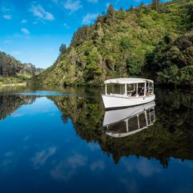 A white boat sails on the Lower Lake at Zealandia, surrounded by green bush and overhanging fern trees.