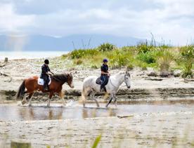 Two people riding horses through a river on the beach in Queen Elizabeth Park, Kāpiti Coast, with Kapiti Island in the background.