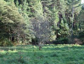 Mangaroa Valley Road screen location, a scenic rural setting with native forest, farmland, and a mountainous backdrop.