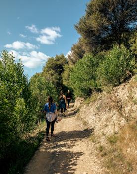 Three people walking along a dirt path amongst green bush on the Te Whiti Riser trail in Lower hutt.