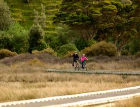 Two people riding bikes on Te Ara Piko Walkway. The trail features stretches of boardwalk and bridges, with amazing views of the harbour.