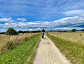 A cyclist rides on a dirt path in a field under a blue cloudy sky.