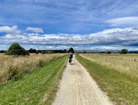 A cyclist rides on a dirt path in a field under a blue cloudy sky.