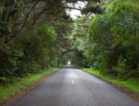 Ōtaki Gorge Road runs parallel to Ōtaki River in the Kāpiti Coast District of New Zealand’s North Island.