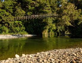 A long suspension bridge above a river, surrounded by Native bush and trees in the Kaitoke Regional Park.