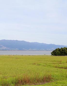 The rural Western Lake road, which connects the Remutaka Range to Lake Wairarapa, features lush green fields and mountains.