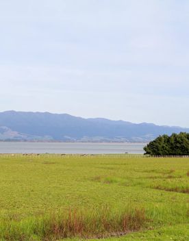 The rural Western Lake road, which connects the Remutaka Range to Lake Wairarapa, features lush green fields and mountains.
