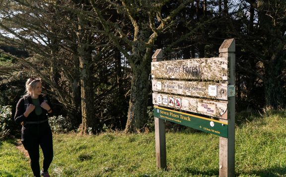 A person reading a wooden sign on the Seven Pines track in Ngā Ara o Rangituhi.