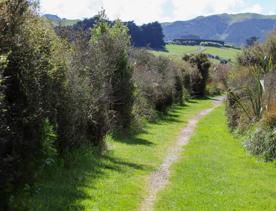 A site of significant conservation value, the estuary is easily accessible in Porirua. A 30-minute drive from the capital, the Pāuatahanui Inlet is a large estuary surrounded by a wildlife reserve.