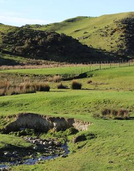 A rural setting with panoramic seascapes, Pikarere Farm is an iconic sheep and beef station overlooking Tītahi Bay in Porirua, New Zealand.