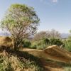 Clay coloured dirt mountain bike jump surrounded by trees.