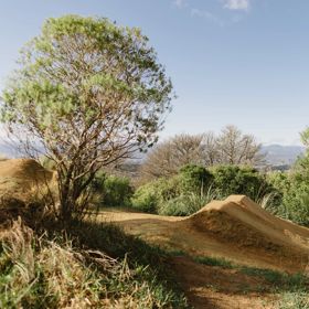Clay coloured dirt mountain bike jump surrounded by trees.