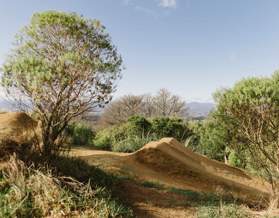 Clay coloured dirt mountain bike jump surrounded by trees.