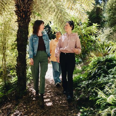 Three friends walking through native forest at Ōtari-Wilton's Bush