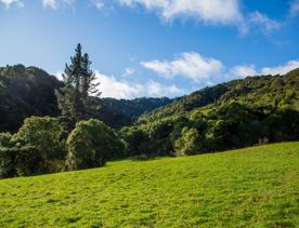 Camp Wainuiomata screen location. Has several buildings and is surrounded by forest and bush.