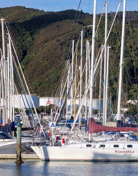 The screen location of Seaview Marina, with hundreds of boats berthed in the seaport.