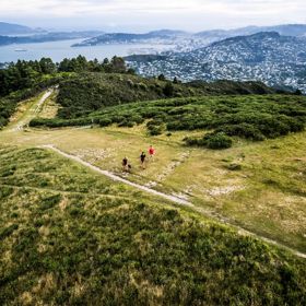 View from above of three people and a dog walking on the Skyline Walkway at Mount Kaukau with Wellington city and harbour in the background.