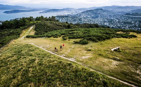 View from above of three people and a dog walking on the Skyline Walkway at Mount Kaukau with Wellington city and harbour in the background.