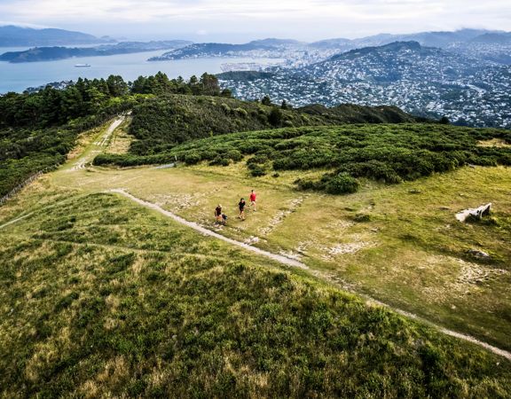 View from above of three people and a dog walking on the Skyline Walkway at Mount Kaukau with Wellington city and harbour in the background.