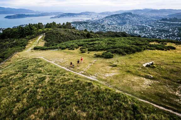 View from above of three people and a dog walking on the Skyline Walkway at Mount Kaukau with Wellington city and harbour in the background.