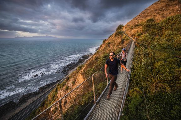 Two people walking along a swing bridge between two hillsides on the Escarpment track above the Kāpiti Coast.