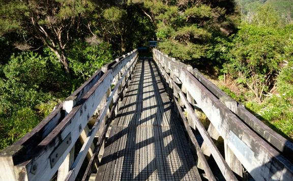 Bridge crossing with mesh covering.