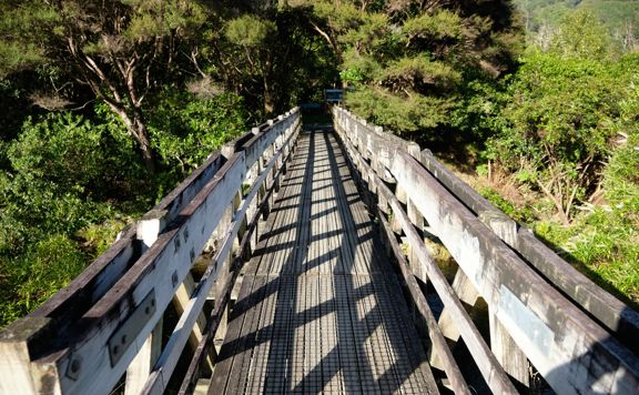 Bridge crossing with mesh covering.