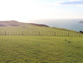 A rural setting with panoramic seascapes, Pikarere Farm is an iconic sheep and beef station overlooking Tītahi Bay in Porirua, New Zealand.