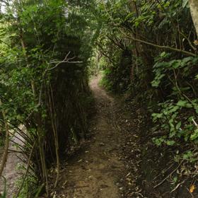 The Repeat Offender track at Centennial Reserve in Miramar.