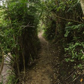 The Repeat Offender track at Centennial Reserve in Miramar.