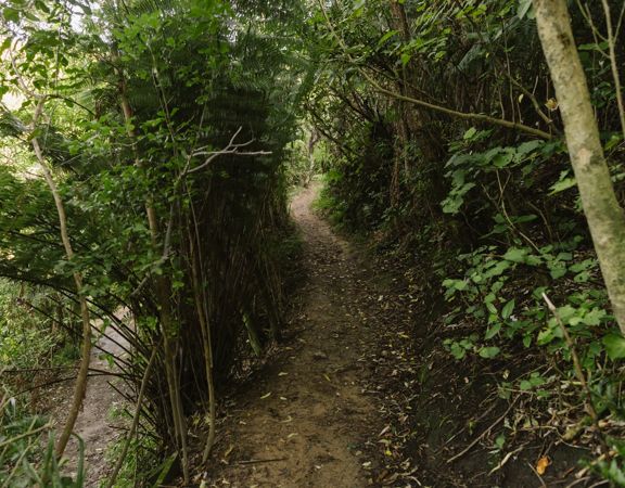 The Repeat Offender track at Centennial Reserve in Miramar.