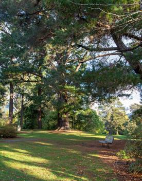 A well-equipped and popular outdoor space for families in Upper Hutt. On the edge of Te Awa Kairangi, Hutt River, Harcourt Park in Upper Hutt is a 40-minute drive north of Wellington.