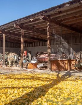 In the heart of Greytown, in the Wairarapa region, Cobblestones Museum showcases the Victorian life of the area’s early settlers.