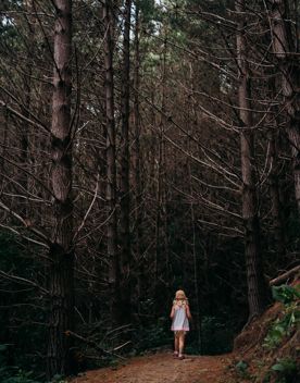 A small child standing in a dark forest surrounded by pine needles.