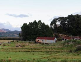 Corrugated iron sheds sit among the grassland of Wallaceville Farmland.