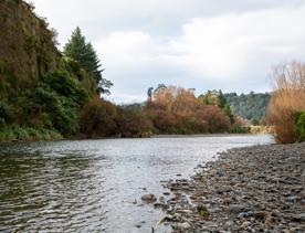 The screen location of Te Mārua  cliffs, where a river flows against vertical cliffs on the foothills of the Remutaka Range.