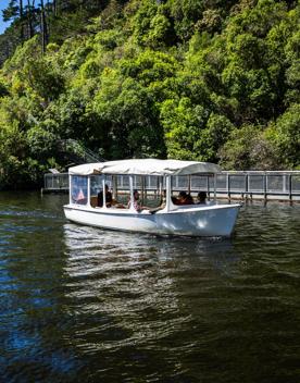 A group of friends enjoy a boat ride on the lake at Zealandia on a sunny day.