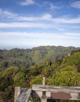 The Wrights Hill Fortress screen location, located in Karori overlooking Wellington from an old gun emplacement. The location includes historic monuments, underground landmarks, and tunnels.