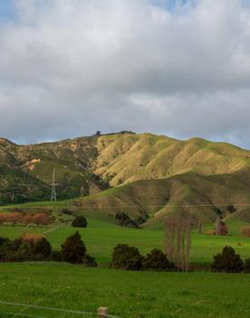 The screen location of Waitohu Valley Ōtaki, features native and exotic forests, pastoral lands, and wetlands.