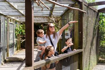 An Adult and three children are visiting the Ngā Manu Nature Reserve in the Kāpiti Coast, New Zealand.