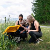 Two people with a dog looking into a black Welly Walks box with a yellow lid on the Greytown to Woodside Trail, beside a grassy path.